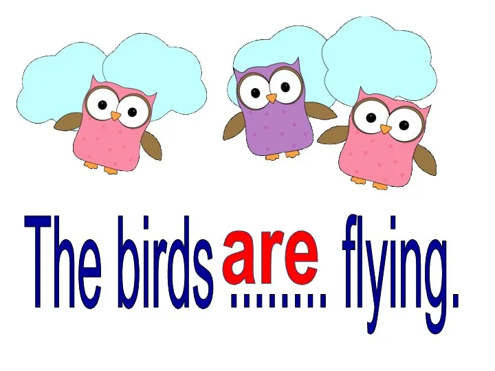 The birds ........ flying. are