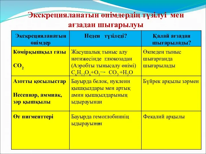 Экскрецияланатын өнімдердің түзілуі мен ағзадан шығарылуы