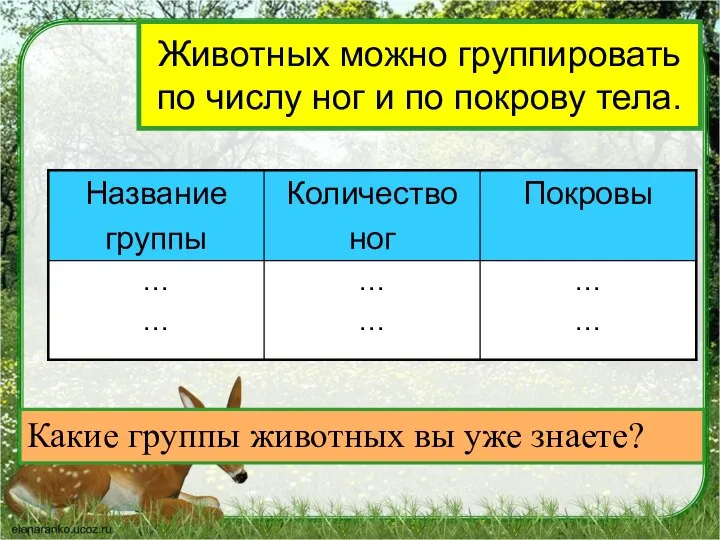 Животных можно группировать по числу ног и по покрову тела. Какие группы животных вы уже знаете?