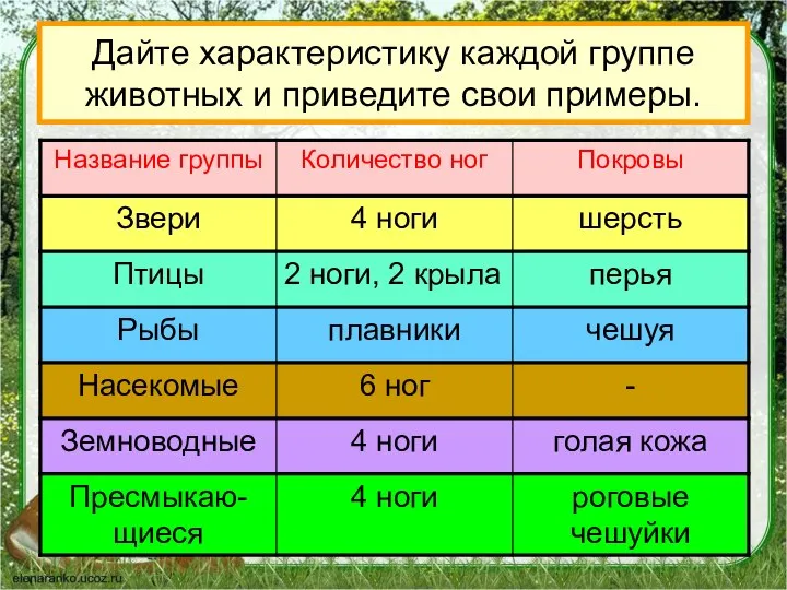 Дайте характеристику каждой группе животных и приведите свои примеры.