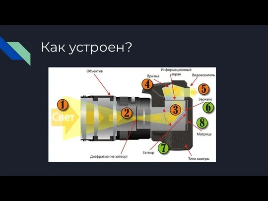 Как устроен?