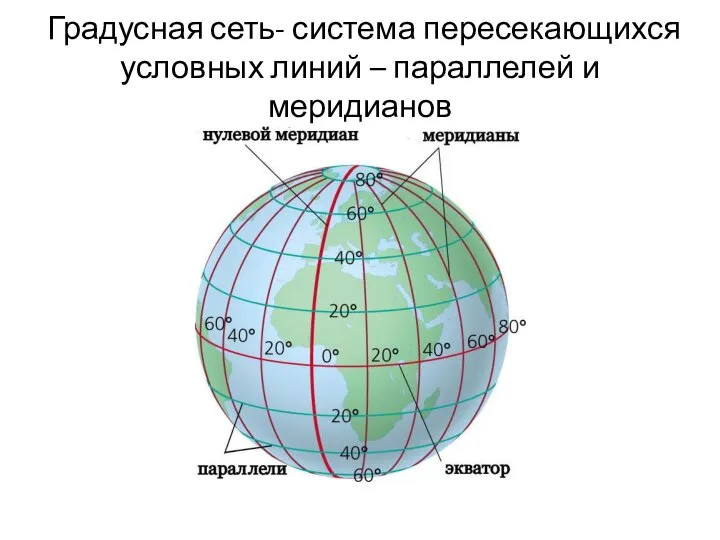 Градусная сеть- система пересекающихся условных линий – параллелей и меридианов