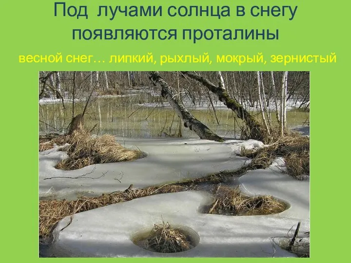 Под лучами солнца в снегу появляются проталины весной снег… липкий, рыхлый, мокрый, зернистый