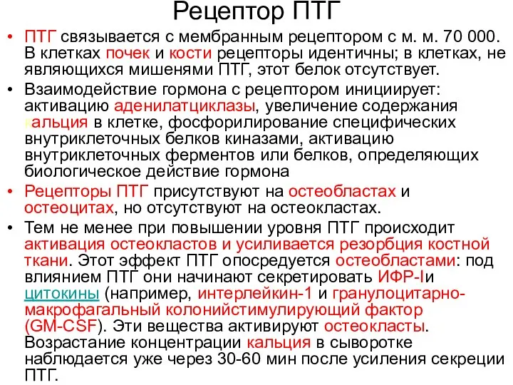 Рецептор ПТГ ПТГ связывается с мембранным рецептором с м. м. 70 000.