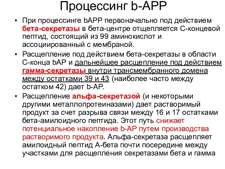 Процессинг b-APP При процессинге bAPP первоначально под действием бета-секретазы в бета-центре отщепляется