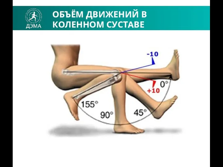 ОБЪЁМ ДВИЖЕНИЙ В КОЛЕННОМ СУСТАВЕ