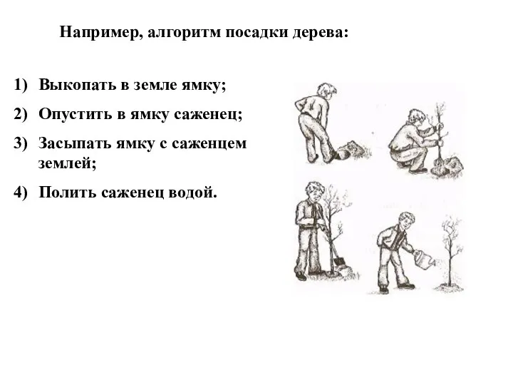 Например, алгоритм посадки дерева: Выкопать в земле ямку; Опустить в ямку саженец;