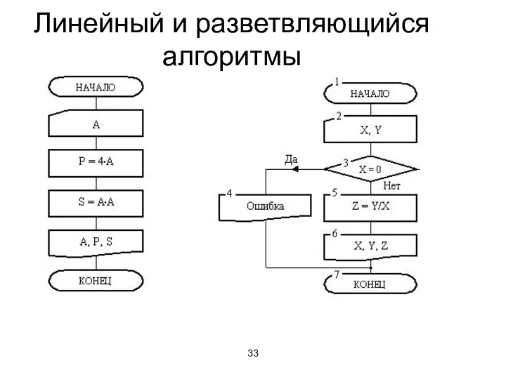 Линейный и разветвляющийся алгоритмы