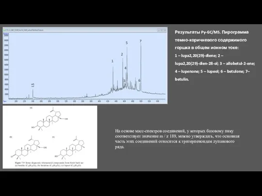 Результаты Py-GC/MS. Пирограмма темно-коричневого содержимого горшка в общем ионном токе: 1 –