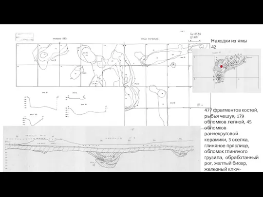 477 фрагментов костей, рыбья чешуя, 179 обломков лепной, 45 обломков раннекруговой керамики,