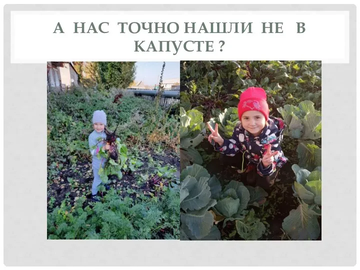 А НАС ТОЧНО НАШЛИ НЕ В КАПУСТЕ ?