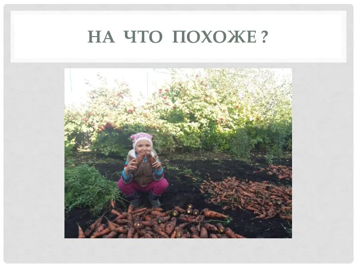 НА ЧТО ПОХОЖЕ ?