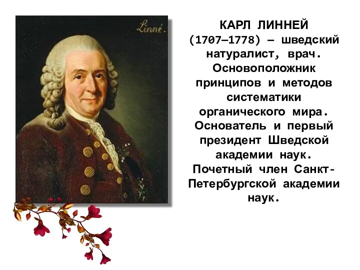 КАРЛ ЛИННЕЙ (1707—1778) — шведский натуралист, врач. Основоположник принципов и методов систематики