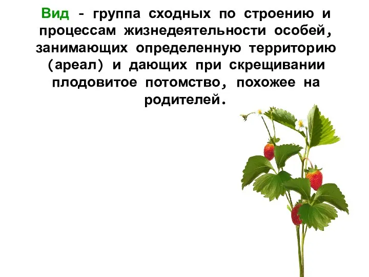 Вид - группа сходных по строению и процессам жизнедеятельности особей, занимающих определенную