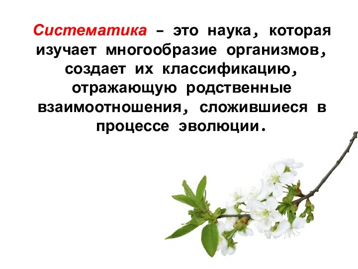 Систематика – это наука, которая изучает многообразие организмов, создает их классификацию, отражающую