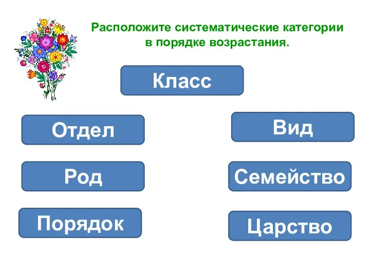 Расположите систематические категории в порядке возрастания. Класс Царство Отдел Род Семейство Вид Порядок