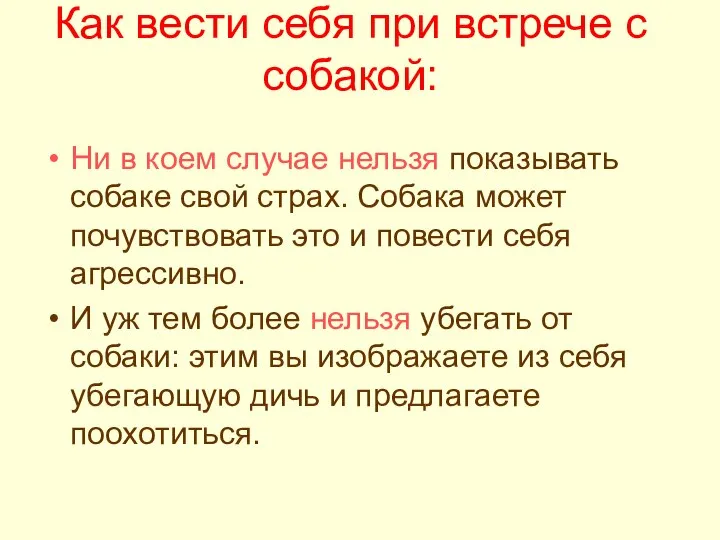 Как вести себя при встрече с собакой: Ни в коем случае нельзя