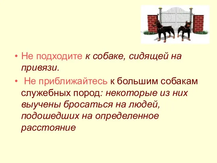 Не подходите к собаке, сидящей на привязи. Не приближайтесь к большим собакам