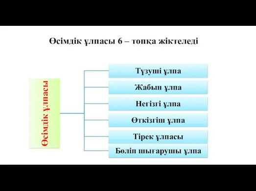 Өсімдік ұлпасы 6 – топқа жіктеледі