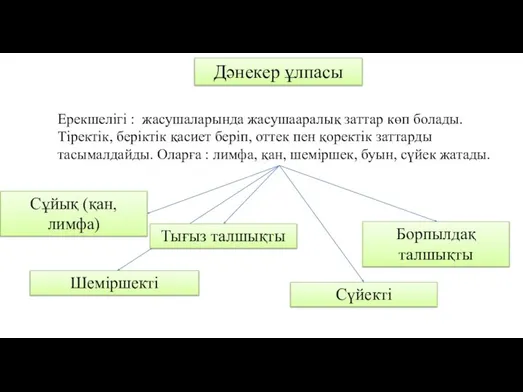 Дәнекер ұлпасы Ерекшелігі : жасушаларында жасушааралық заттар көп болады. Тіректік, беріктік қасиет