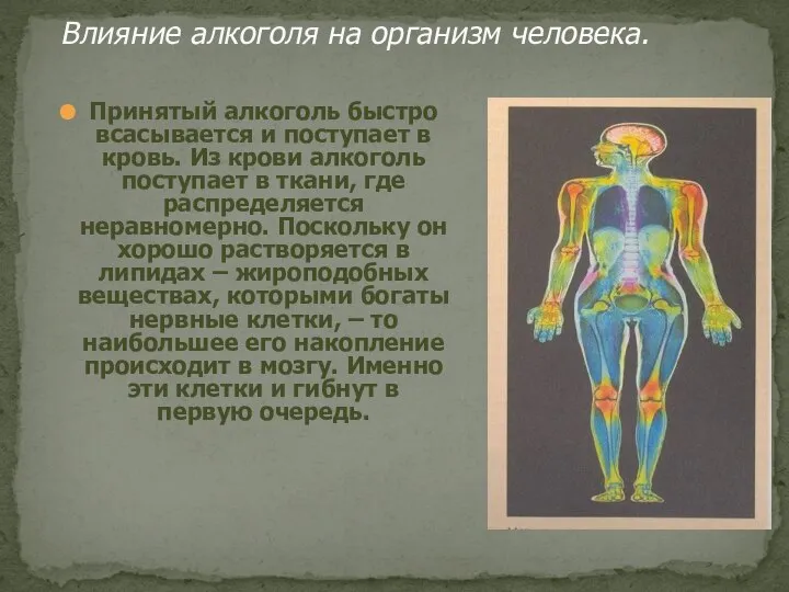 Влияние алкоголя на организм человека. Принятый алкоголь быстро всасывается и поступает в