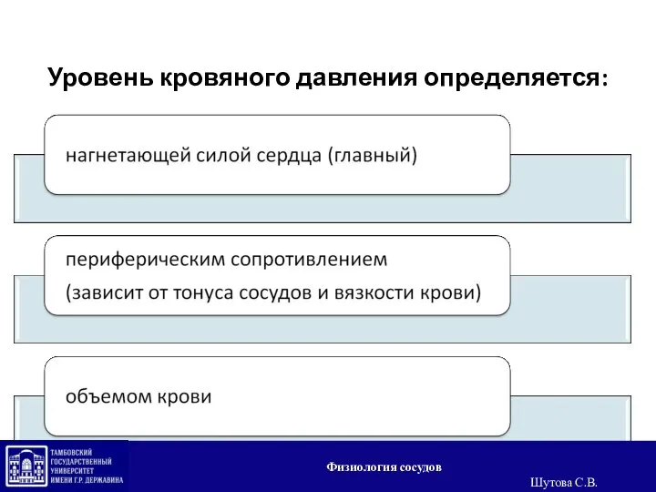 Уровень кровяного давления определяется: Физиология сосудов Шутова С.В.