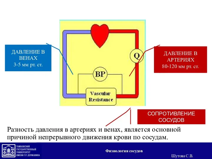 Разность давления в артериях и венах, является основной причиной непрерывного движения крови