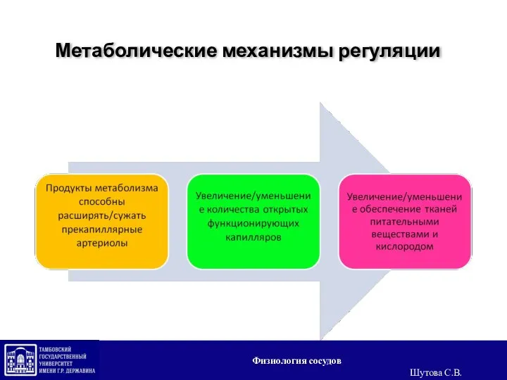 Метаболические механизмы регуляции Физиология сосудов Шутова С.В.