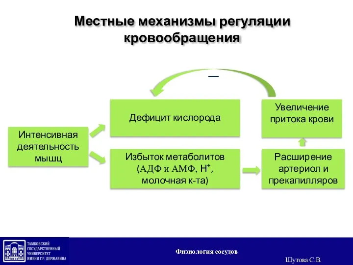 Интенсивная деятельность мышц Дефицит кислорода Избыток метаболитов (АДФ и АМФ, Н+, молочная