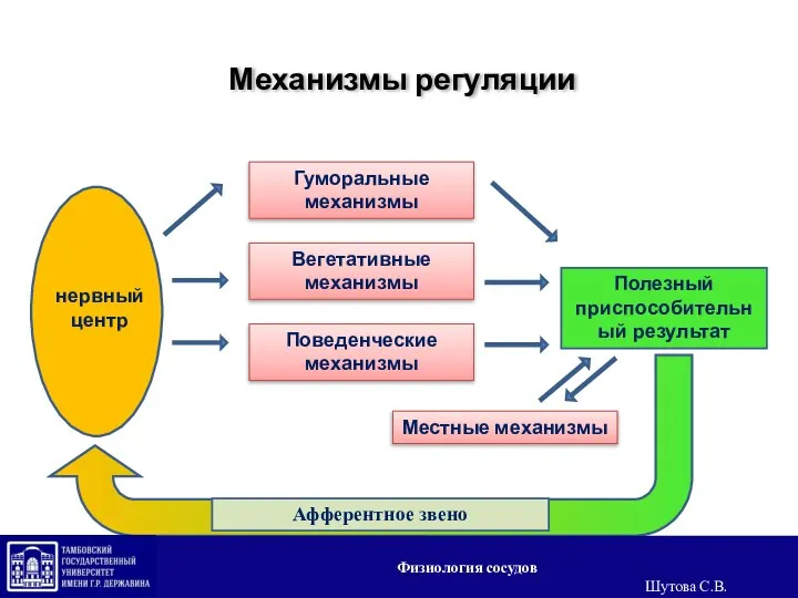 Гуморальные механизмы Вегетативные механизмы Поведенческие механизмы Местные механизмы Полезный приспособительный результат о