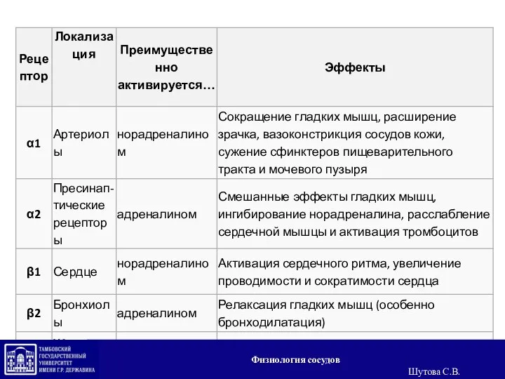 Физиология сосудов Шутова С.В.