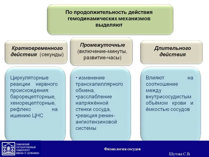 Физиология сосудов Шутова С.В.