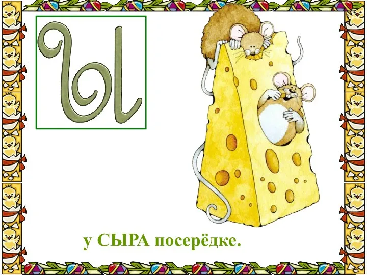 у СЫРА посерёдке.