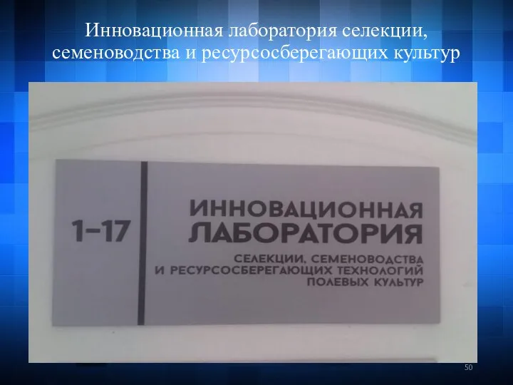 Инновационная лаборатория селекции, семеноводства и ресурсосберегающих культур