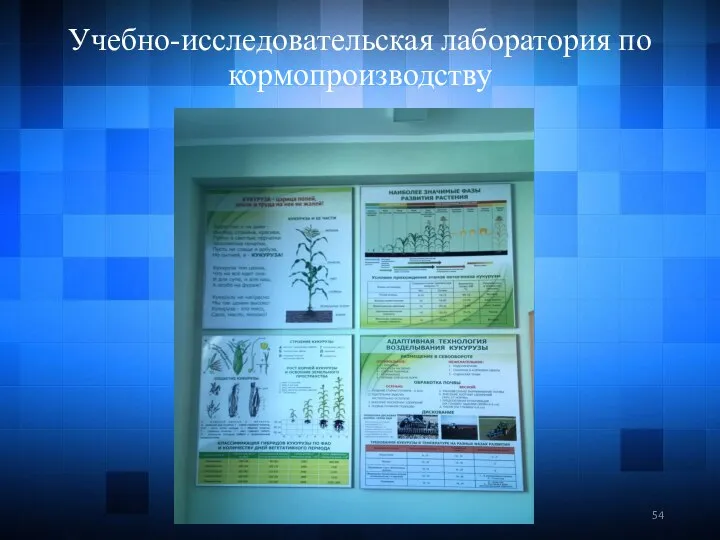 Учебно-исследовательская лаборатория по кормопроизводству