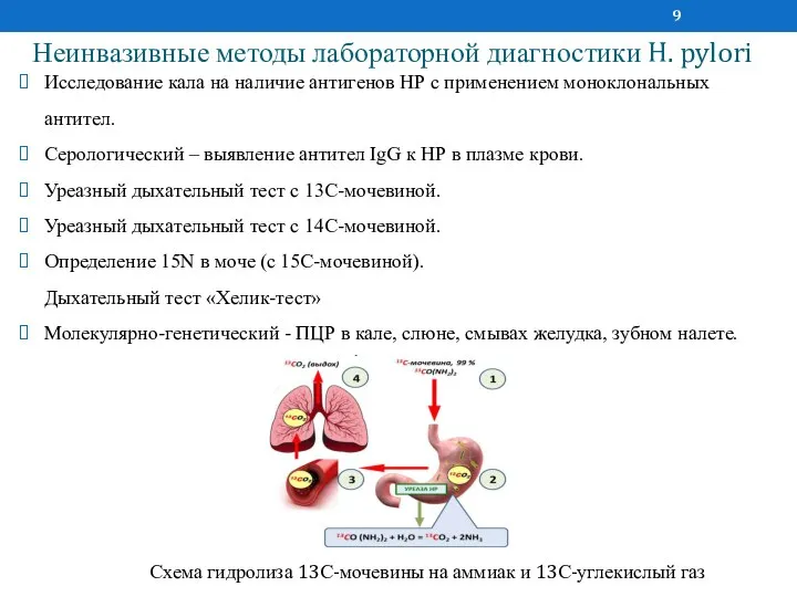 Неинвазивные методы лабораторной диагностики H. pylori Исследование кала на наличие антигенов НР