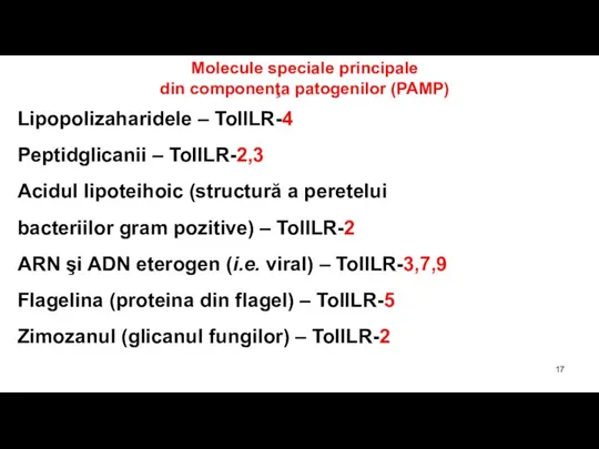 Molecule speciale principale din componenţa patogenilor (PAMP) Lipopolizaharidele – TollLR-4 Peptidglicanii –