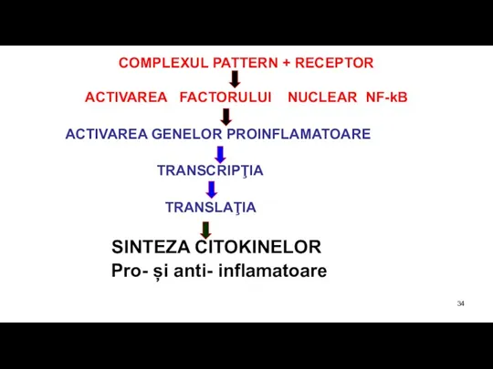 COMPLEXUL PATTERN + RECEPTOR ACTIVAREA FACTORULUI NUCLEAR NF-kB ACTIVAREA GENELOR PROINFLAMATOARE TRANSCRIPŢIA