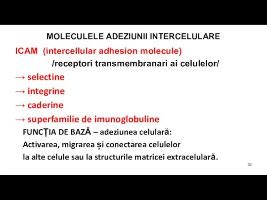 MOLECULELE ADEZIUNII INTERCELULARE ICAM (intercellular adhesion molecule) /receptori transmembranari ai celulelor/ →