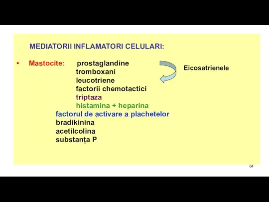 MEDIATORII INFLAMATORI CELULARI: Mastocite: prostaglandine tromboxani leucotriene factorii chemotactici triptaza histamina +