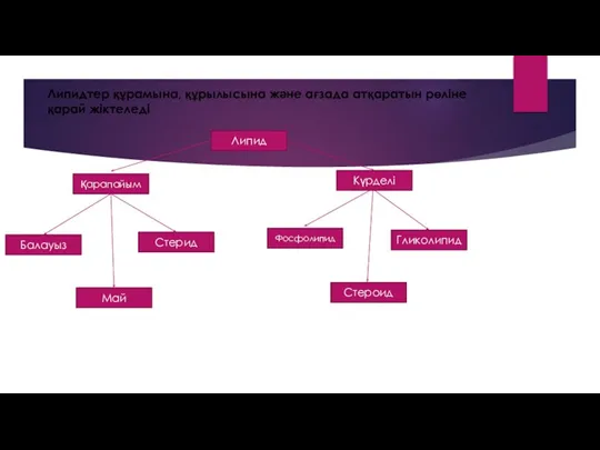 Липидтер құрамына, құрылысына жəне ағзада атқаратын рөліне қарай жіктеледі Липид Күрделі Қарапайым