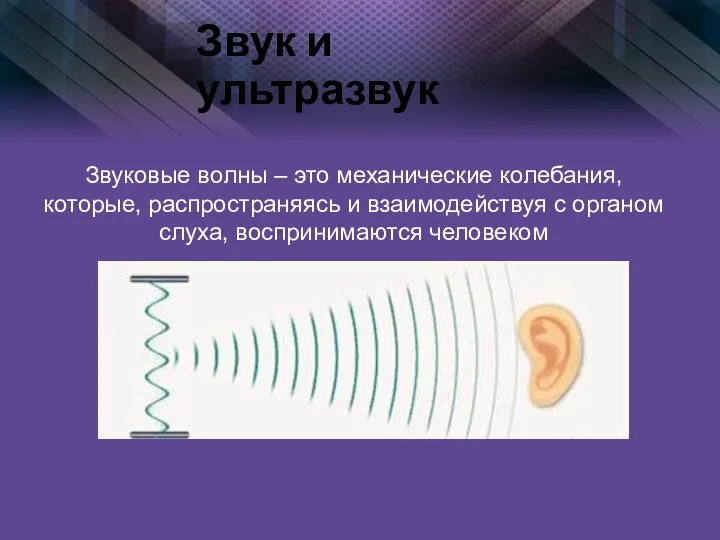 Звук и ультразвук Звуковые волны – это механические колебания, которые, распространяясь и