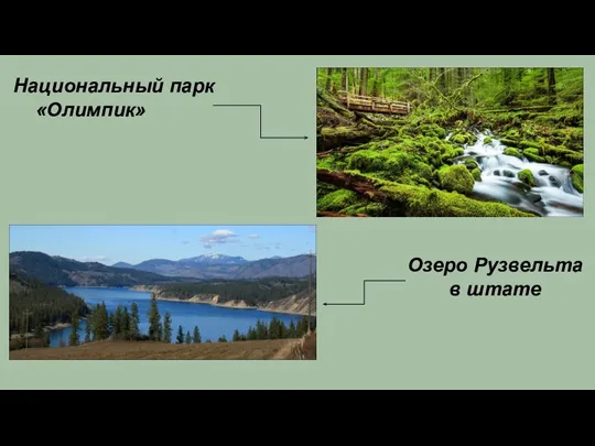 Национальный парк «Олимпик» Озеро Рузвельта в штате