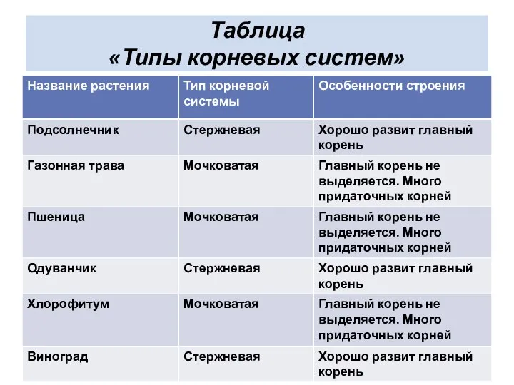 Таблица «Типы корневых систем»