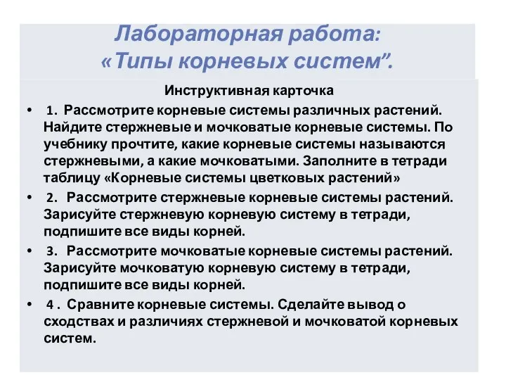 Лабораторная работа: «Типы корневых систем”. Инструктивная карточка 1. Рассмотрите корневые системы различных