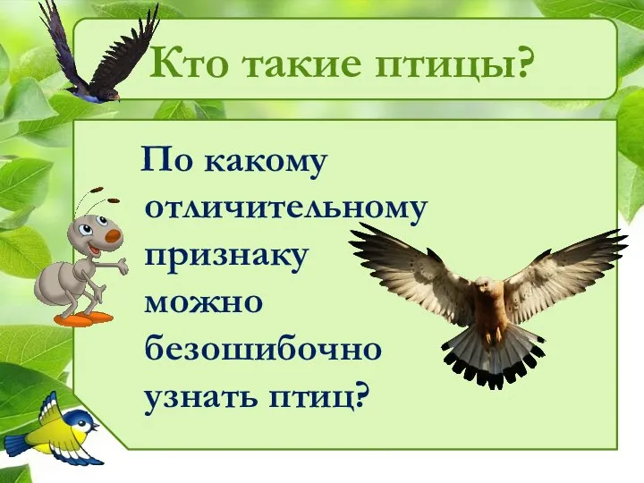 Кто такие птицы? По какому отличительному признаку можно безошибочно узнать птиц?