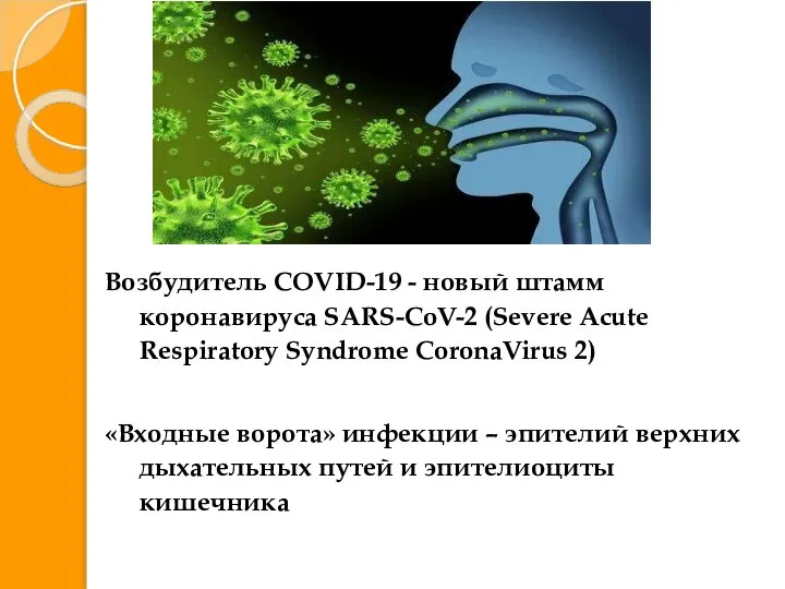 Возбудитель COVID-19 - новый штамм коронавируса SARS-CoV-2 (Severe Acute Respiratory Syndrome CoronaVirus