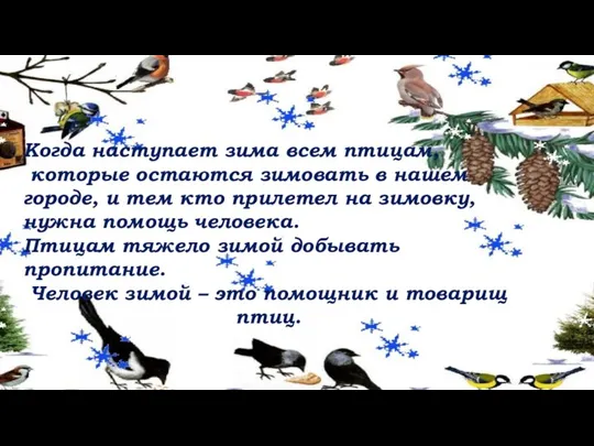 Когда наступает зима всем птицам, которые остаются зимовать в нашем городе, и