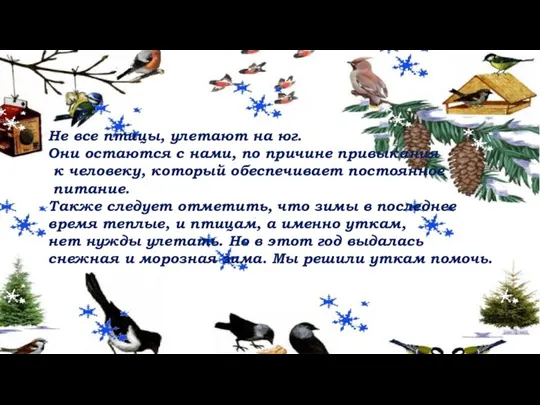 Не все птицы, улетают на юг. Они остаются с нами, по причине