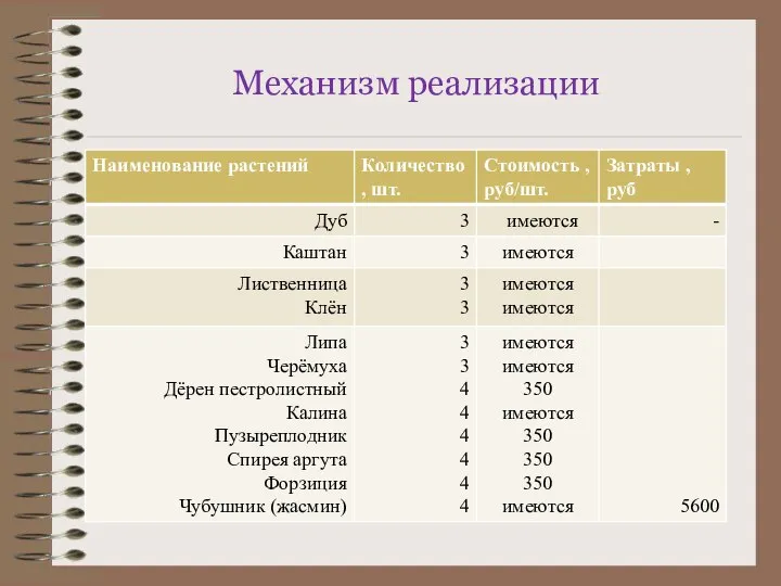 Механизм реализации